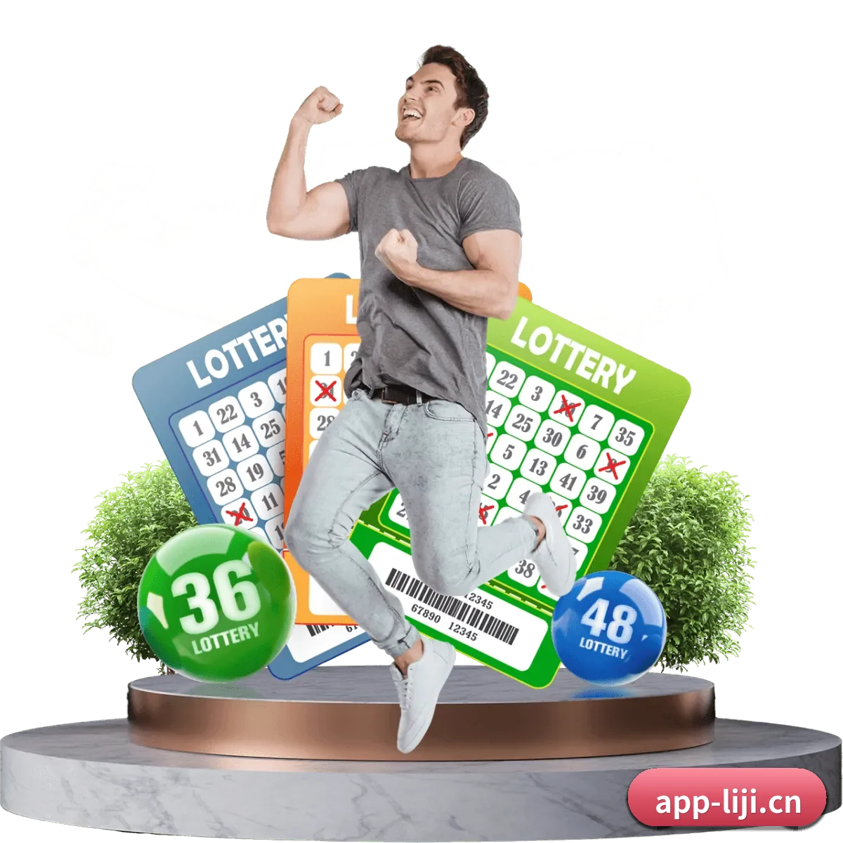 利记体育 APP 界面